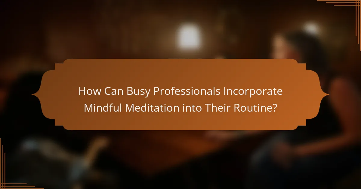 How Can Busy Professionals Incorporate Mindful Meditation into Their Routine?